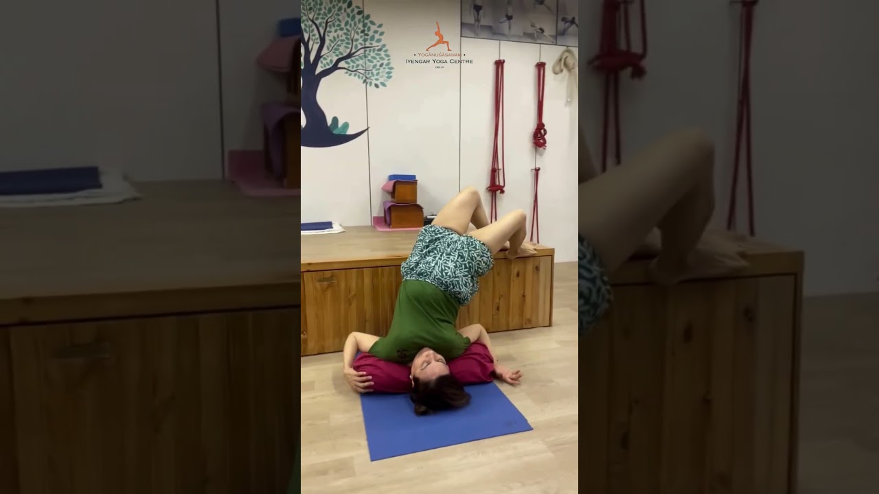 twist, release, and renew through Iyengar Yoga  #iyengaryoga #bksiyengar #iyengaryogadelhi #yoga