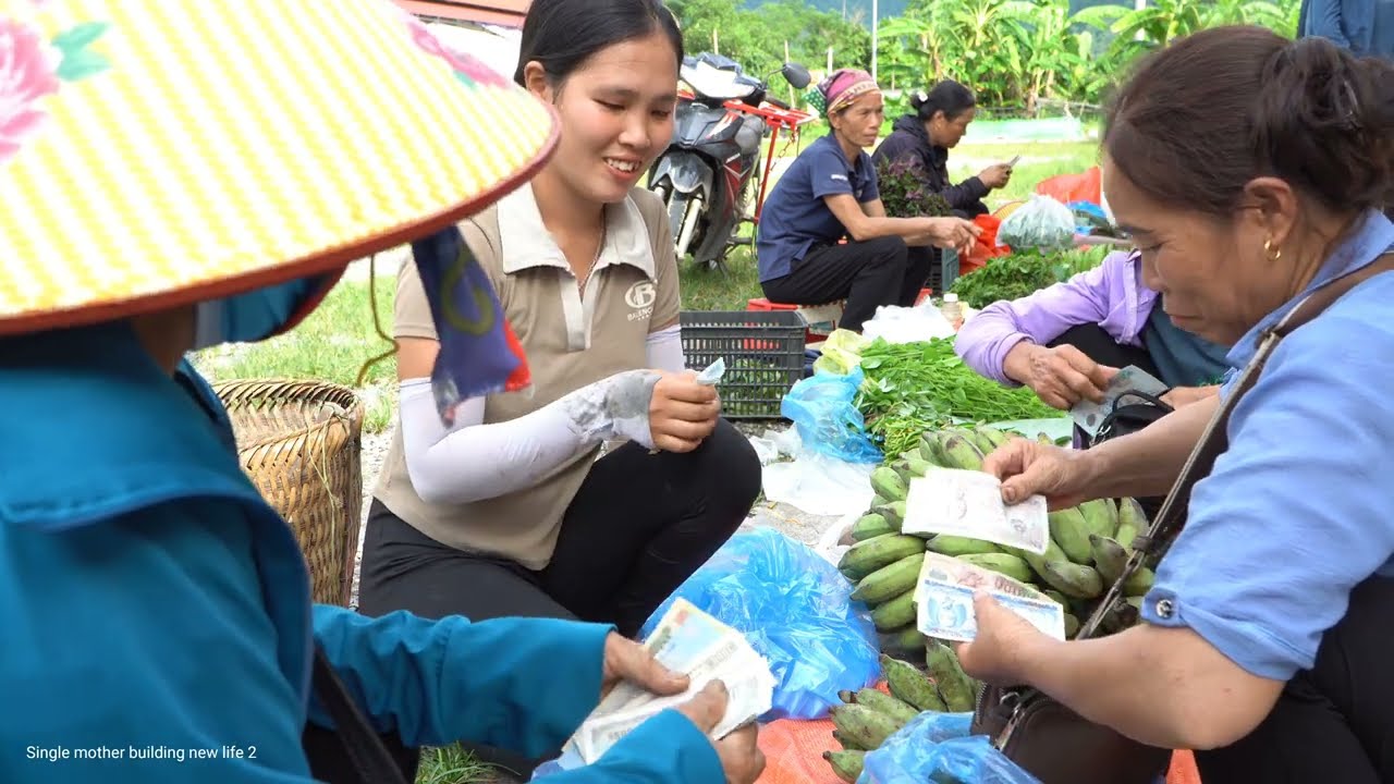 Single Mom: Harvesting Bananas to Sell at the Market - Taking Care of ...