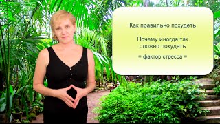 Почему сложно похудеть - стресс Почему сложно похудеть - стресс