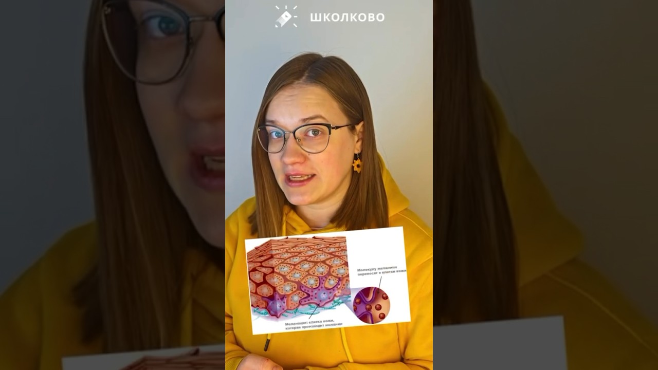 Почему шрам не загорает? #биология #егэ #егэ2024 #biology #егэбио