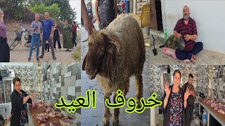 خروف العيد، متبرع من أوروبا.تقبل الله.شو صار معنا#قناه_ام_رودي #اكسبلور 