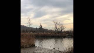 Bluff Pt - Groton CT - Sunset in Winter - 2020