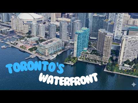 Walking along the Actual Lakeshore of Toronto