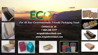 ECOPAK VIDEO 2021