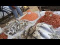 A feira de peixe  em murici