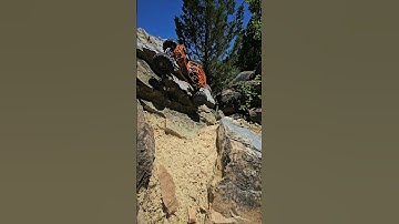 Bounce it! Axial Ryft is fully locked and loaded... #rc #crawler #hiphop #rccrawler #rchobby #fun