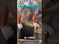 排水溝から子猫レスキュー①出られなくなって5日以上。近くの人たちも鳴き声は聞いてるけど、何も出来ず祈るばかりだった。この後、2日かけてレスキューします。詳細は近日、YouTubeにて。