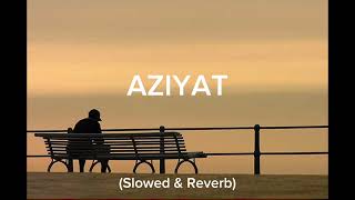 Aziyat - Pratyush Dhiman (Slowed and Reverb)  || To kya hua tu mera nahi ||