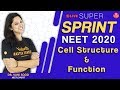 Cell Structure and Their Function | Biology Class 11, NEET & AIIMS | Vani Ma'am| Vedantu VBiotonics