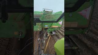 Wykopki Ziemniaka Jadalnego 2025