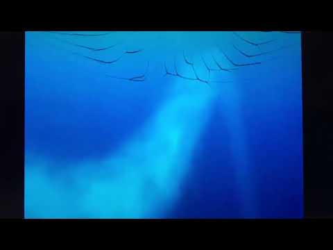 Finding Nemo righteous in Hungarian