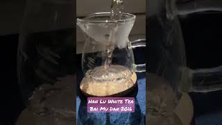 white tea (plucked in the fall) seems to match sunny autumn days well. what do you say?