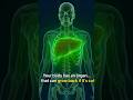 The Only Human Organ That Grows Back 😳#shorts #viral #shortvideo #explore #trending