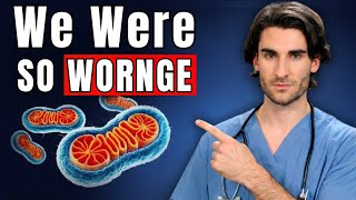 4 Foods to Make New Mitochondria (Scientifically Proven Energy Boost Secrets)**