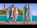 2 Days Chasing Every Fish in Florida! Catch Clean & Cook