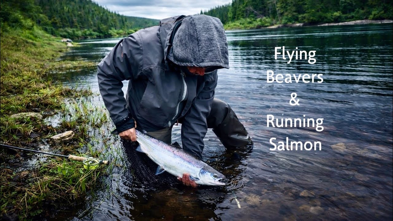 Flying Beavers & Running Salmon  An Epic Father/son journey chasing Atlantics far north into Canada