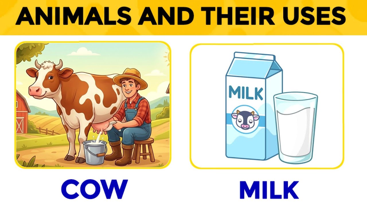 Animals and their uses | Domestic animal uses | Domestic Animals ...