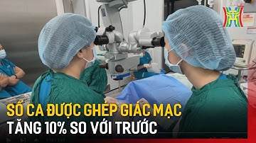 Số ca được ghép giác mạc tăng 10% so với trước | Tin tức