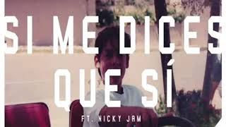 Si me dices que si - nicky yam Ft cosculluela [Audio Oficial]