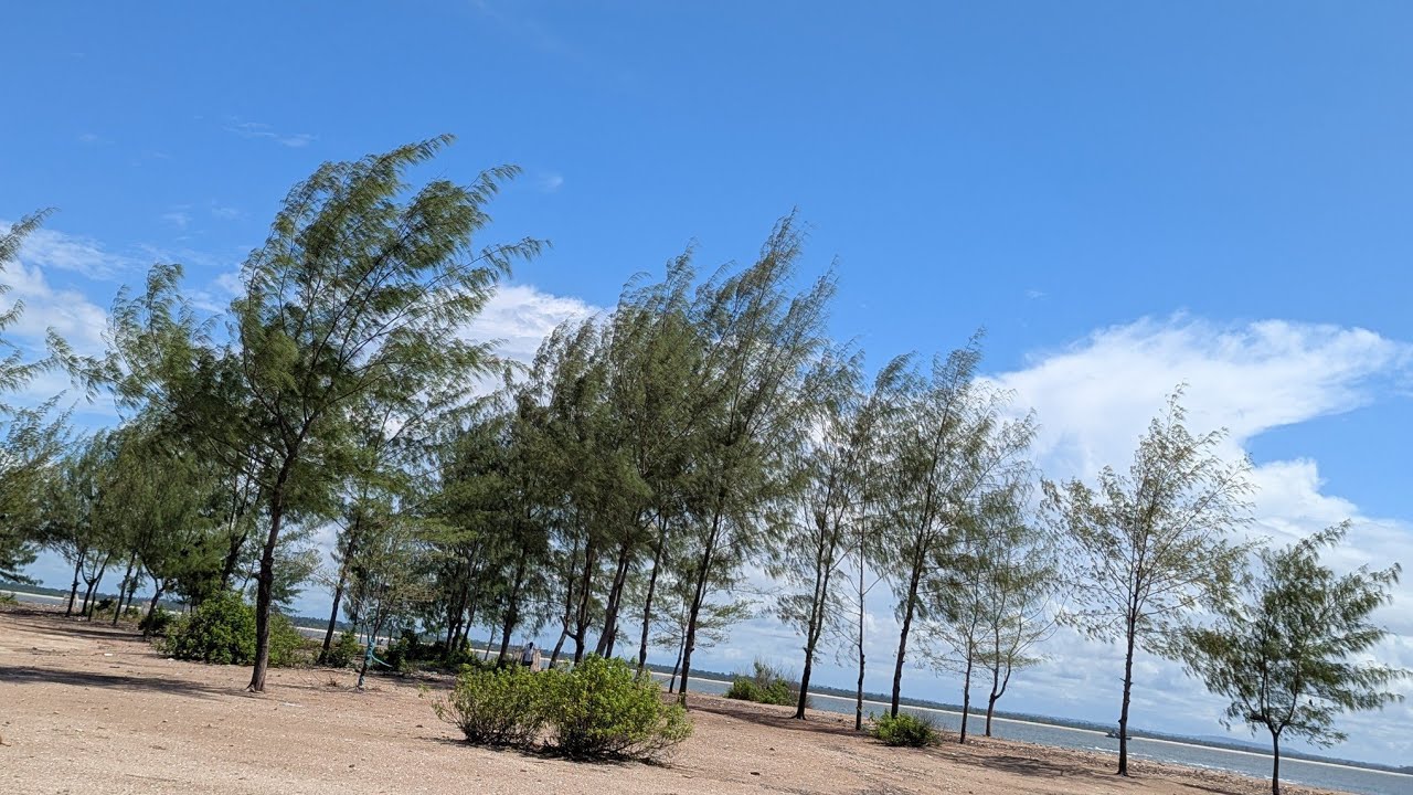 IFAHAMU HISTORIA YA KISIWA CHA KWALE KATA YA KISIJU MKOA WA PWANI