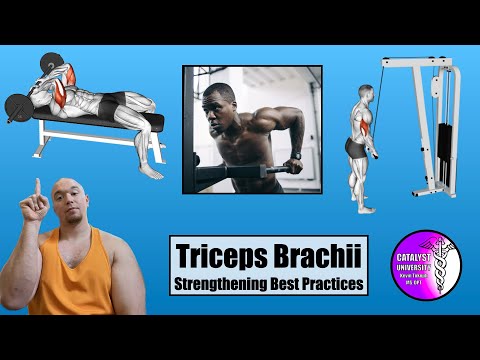 Triceps Brachii | Strengthening Best Practices