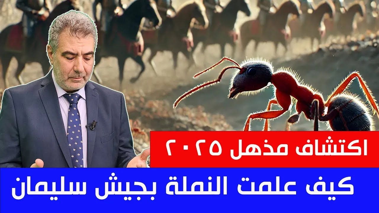 اكتشاف علمي لايصدق 2025 يشهد بصدق القرآن.. كيف ميز النمل جيش سليمان؟