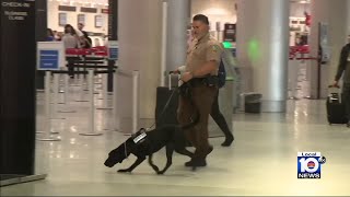 Explosive-detecting K-9 officers go through testing at Miami International Airport