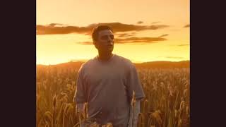 Moonknight Standing In Field Of Reeds Meme Template ( Download Link In Comments 🔗 )