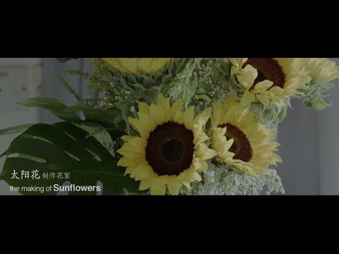Sunflowers 太阳花 Behind The Scenes