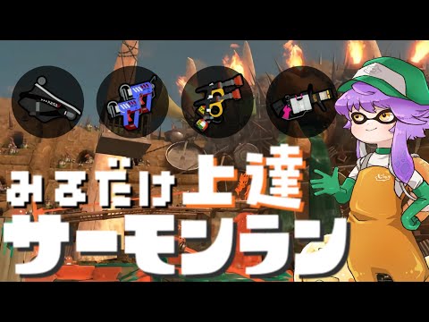 【サーモンランNW】見るだけ上達サモラン！みんなで長射程どんぴこ闘技場🐋【スプラトゥーン3/参加型】