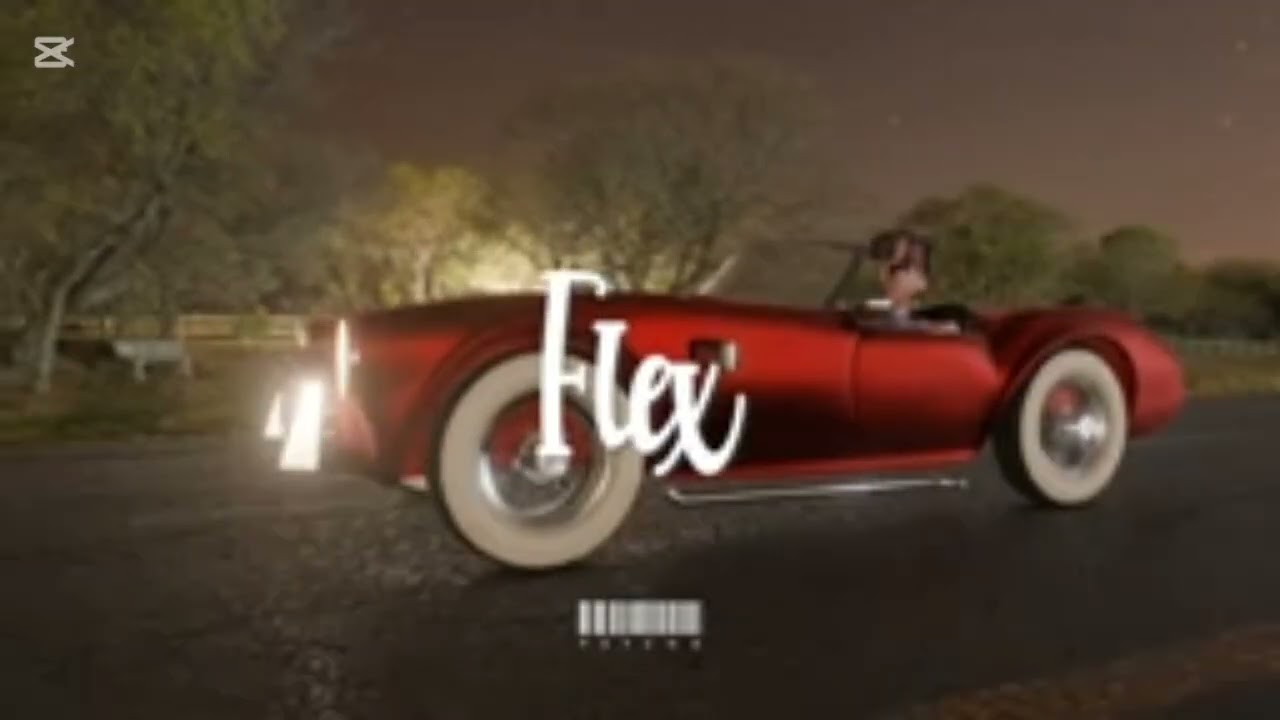 STRUGGLER by CITY BOYZ free style(OFFICIAL AUDIO 2025)