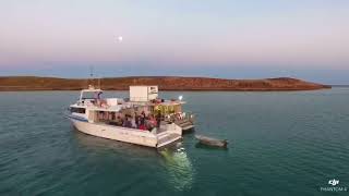 Montebello Island Safaris 2017