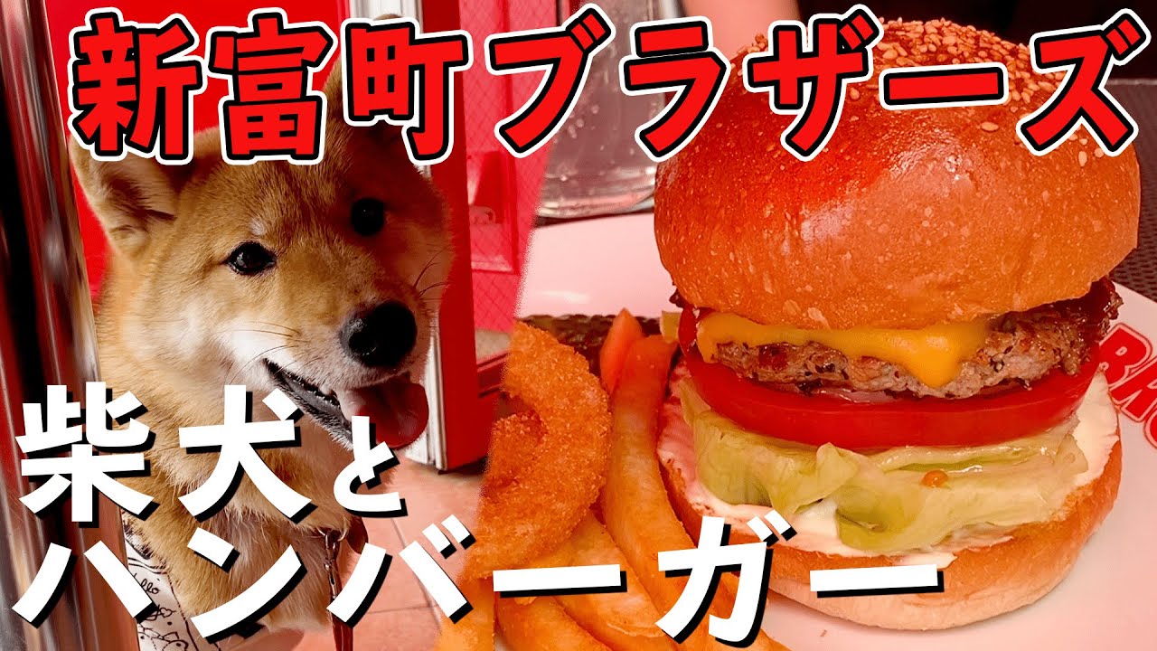 ペット可】柴犬とハンバーガーを食べよう！新富町・ブラザーズ - YouTube