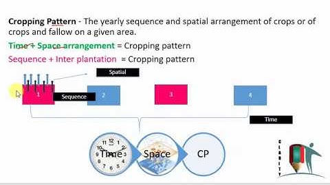 Chapter 5: Cropping Pattern: Definition, Types & Examples + Important MCQs | NABARD Grade A & AFO
