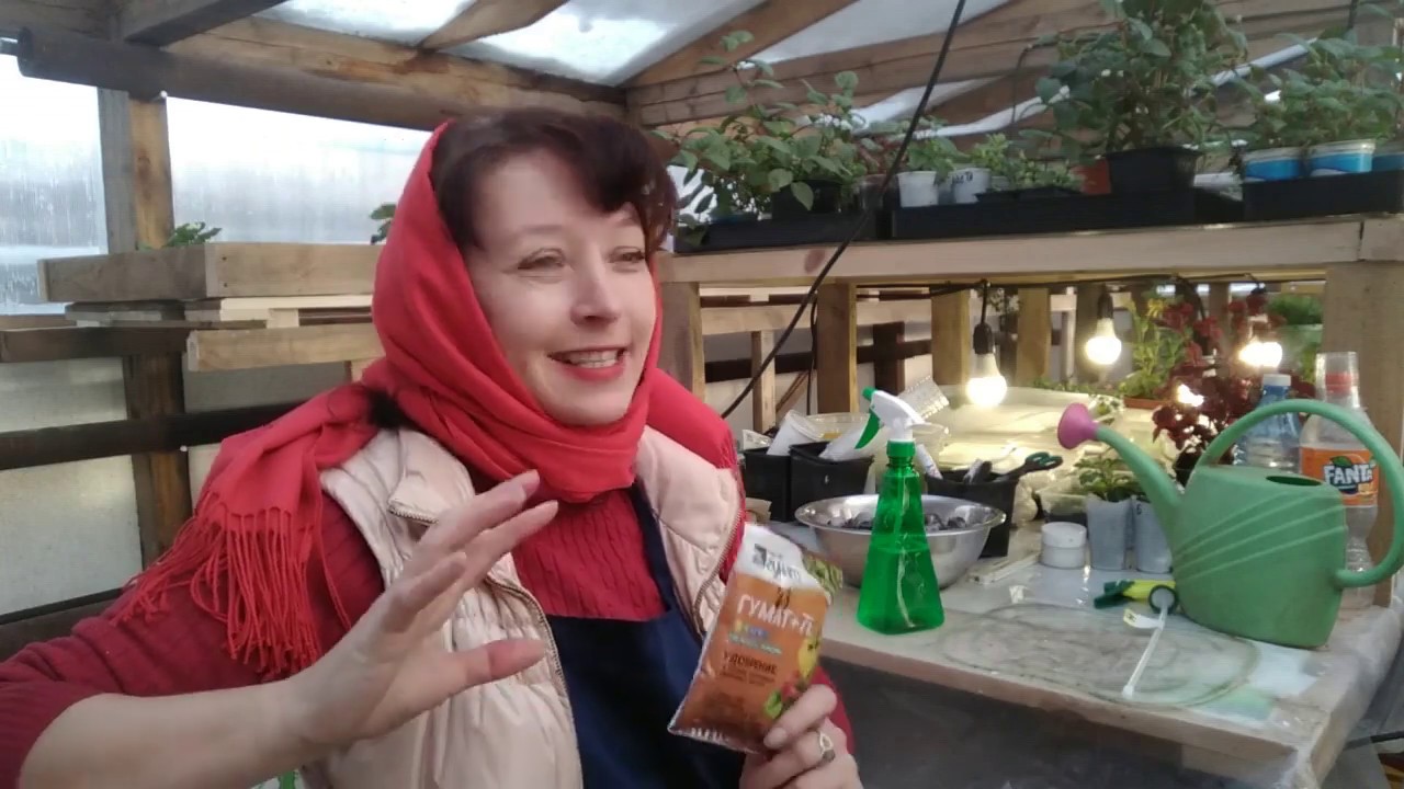 дарина медведева барышня крестьянка. будни барышни. елена садчикова будни барышни крестьянки. будни барышни крестьянки новые видео 19 года. барышня вопит на вокзале.