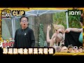 【五哈6CLIP】邓超助唱全票受宠若惊 王勉为了和偶像吴克群同台拼了 #哈哈哈哈哈6 #HAHAHAHAHA6 | iQIYI潮综艺 #邓超 #陈赫 #鹿晗 #范志毅 #王勉