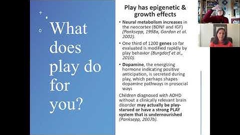 Evolved Nest Explained: Self-Directed Social Play