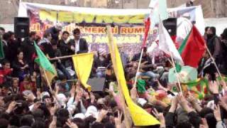 Bırader harunêmın.mp4