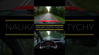 Nieumyślne złamanie przepisu - niewidoczny znak drogowy. Prawo jazdy Tychy, PP Autoszkoła #shorts