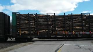Loud CN Train Horn Suamico (Molly Kate's Life 600 subscribers special Train video)