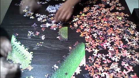 Cork Collection Springbok 500pieces puzzle time-lapse 拼圖縮時攝影