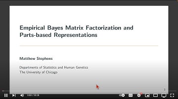 Lange Symposium 2024: Talk 4. Matthew Stephens, University of Chicago