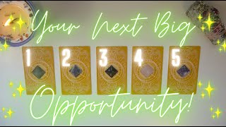 What OPPORTUNITY/OFFER is Coming Next?? Timeless Tarot Reading 