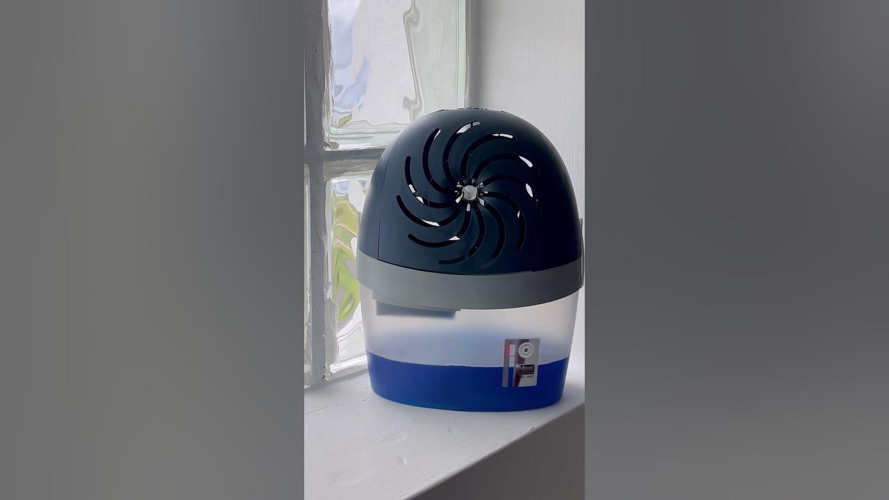 How much moisture can a dehumidifier remove in a short space of time? 💧