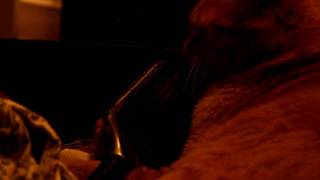 I can brush myself thank you