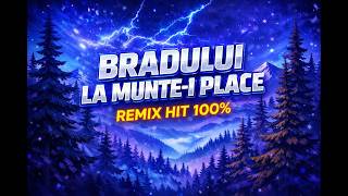 Bradului La Muntei Place  Hit Remix Sipea 2026   Bujorel Tulea Memoriam