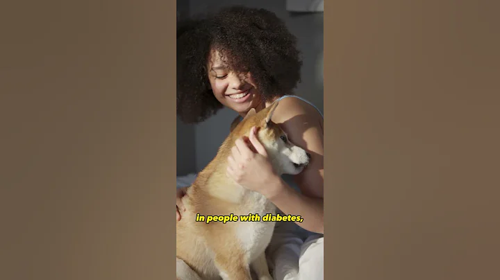 Dogs Can Smell Disease in Humans #shorts