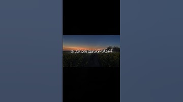 القارئ: أحمد طه سورة: آل عمران #اذكر_الله #القرآن_الكريم #تلاوة_خاشعة #اجر_لي_ولك #ارح_سمعك #quran