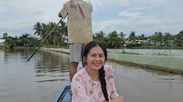 Giăng lưới cá lòng tong mùa nước nổi