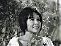 Flor Silvestre - Cariño bonito (1964)